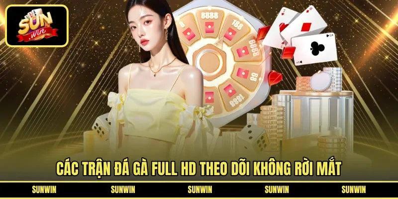 Các trận đá gà full HD theo dõi không rời mắt